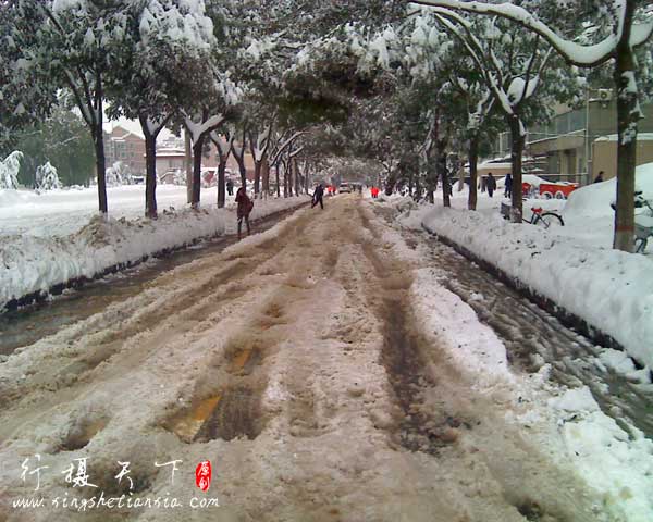 大雪过后的街道